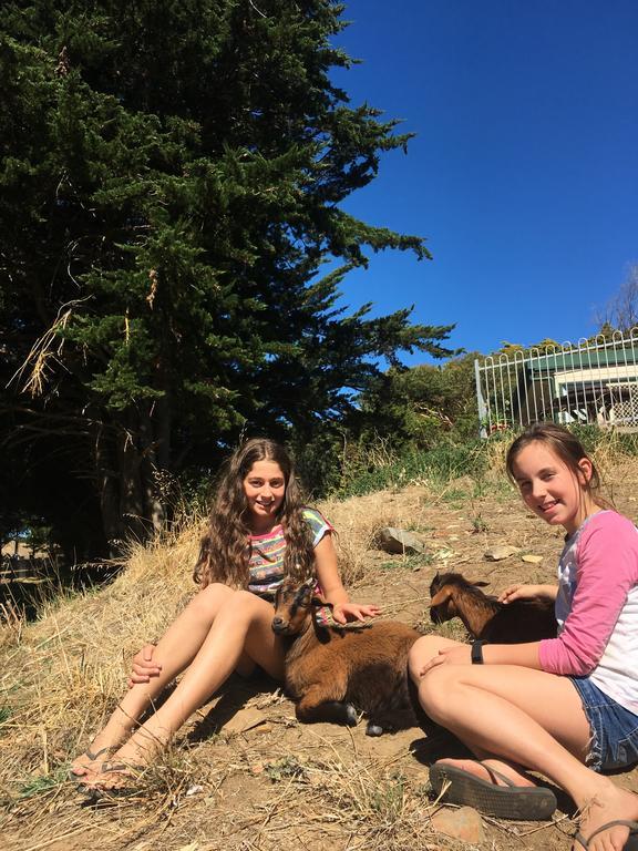 Morella Farmstay Cape Jervis Εξωτερικό φωτογραφία